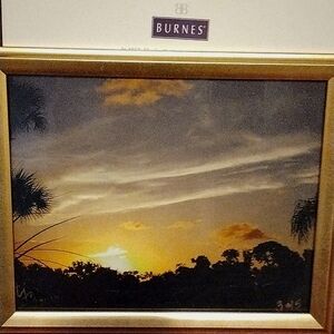 Florida Sunset 🌴 Photo